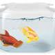 Illustration for article titled These Robot Fish Happily Respond When You Tap On the Aquarium's Glass